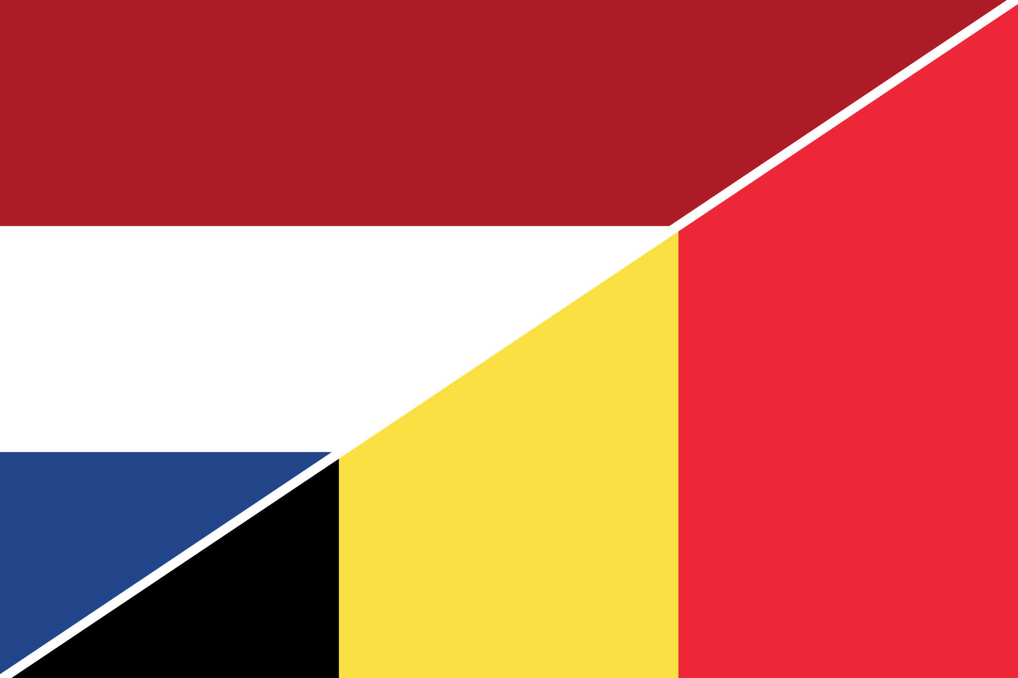 Dolmetschen & Übersetzen: Niederländisch